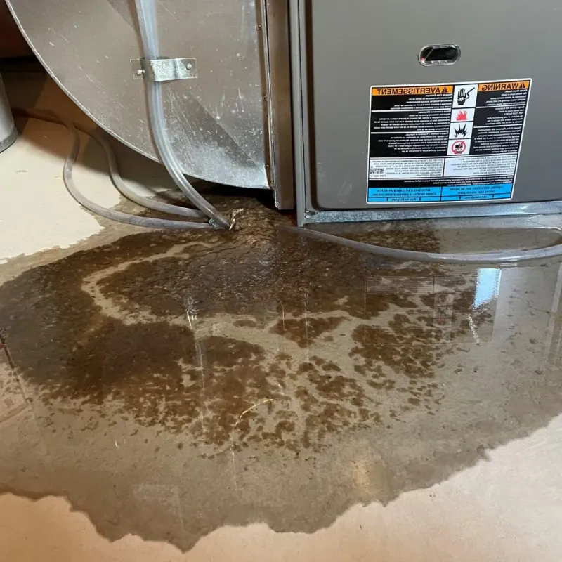 Pipe Burst and Leak Restoration in Akron, OH