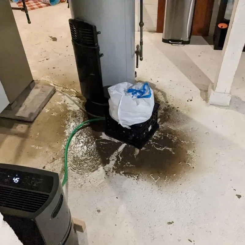 Sewage Backup Cleanup Service in Akron, OH